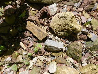 Ausflugsziel: GeoTour Calw