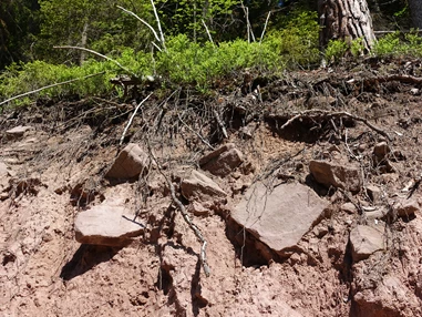 Ausflugsziel: GeoTour Calw