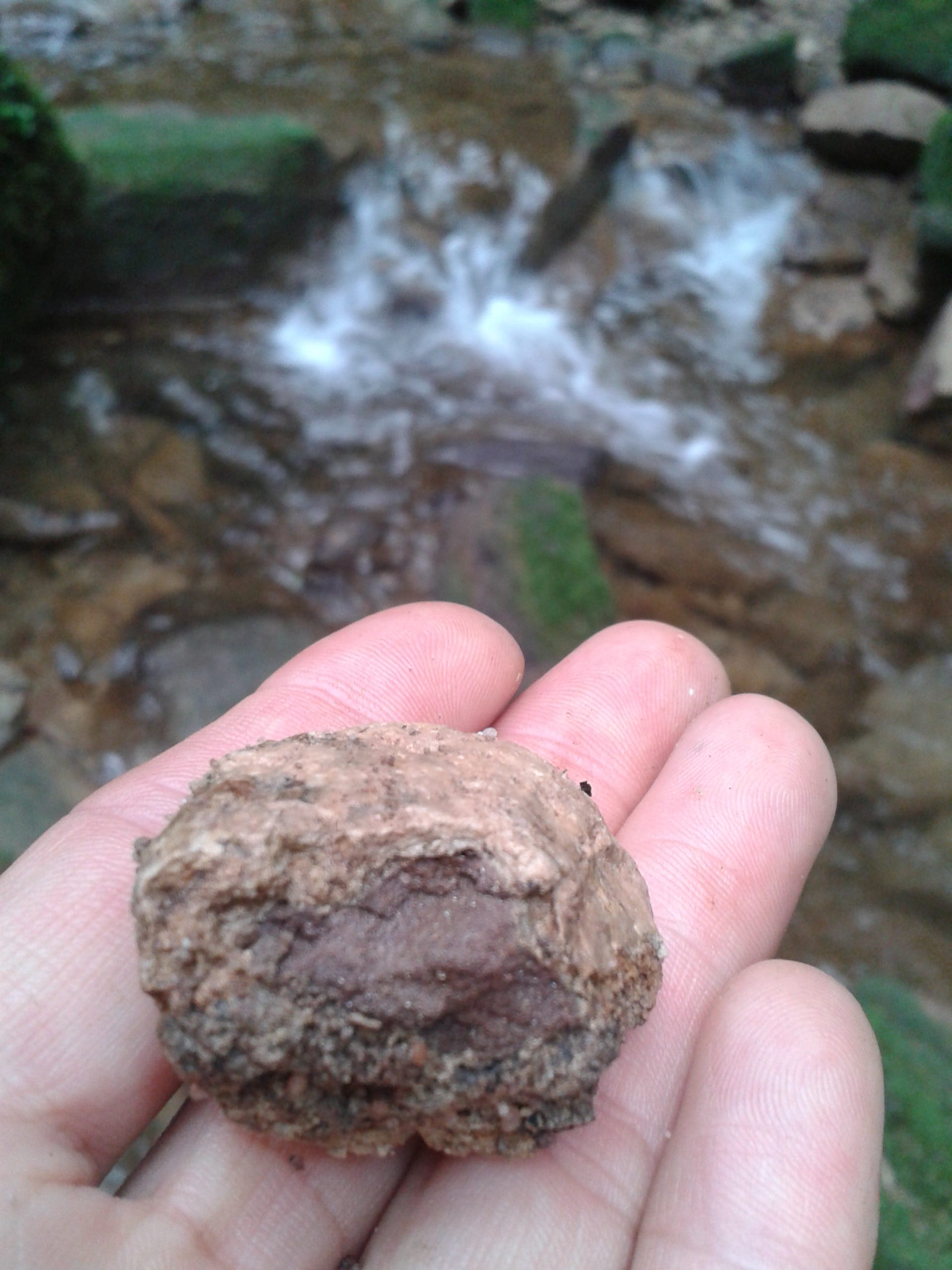 Ausflugsziel: GeoTour Calw