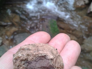 Ausflugsziel: GeoTour Calw