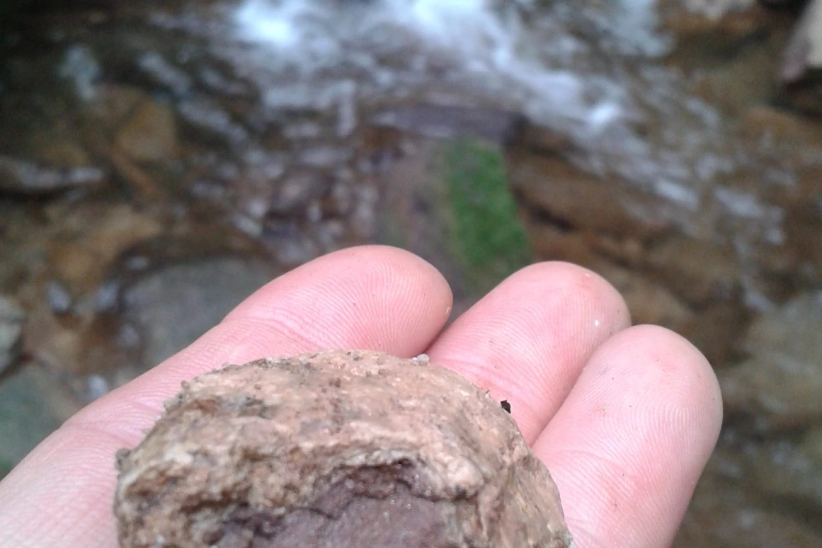 Ausflugsziel: GeoTour Calw