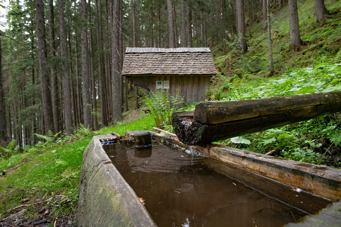 Ausflugsziel: Das "Bruderhüsli" im Dalaaser Wald am Kristberg im Silbertal, dem Genießerberg im Montafon - Der Sagenwanderweg (Sagenweg) vom Kristberg ins Silbertal