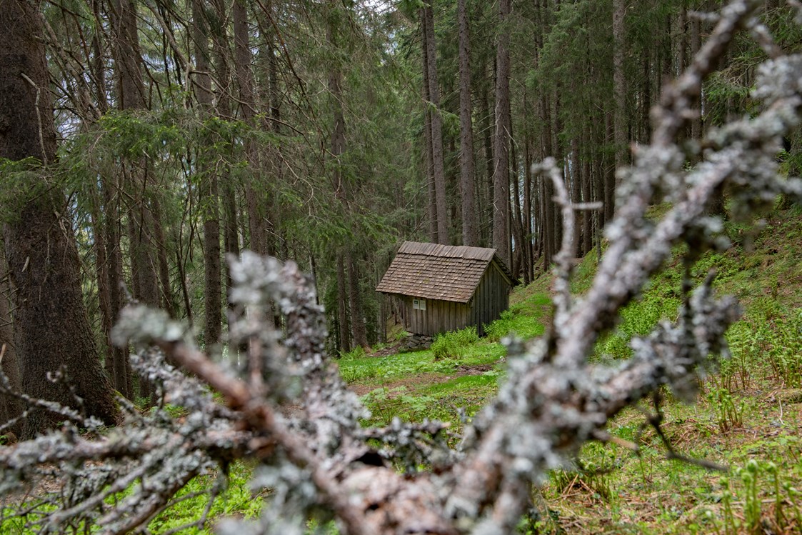 Ausflugsziel: Das "Bruderhüsli" im Dalaaser Wald am Kristberg im Silbertal, dem Genießerberg im Montafon - Der Sagenwanderweg (Sagenweg) vom Kristberg ins Silbertal
