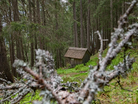 Ausflugsziel: Das "Bruderhüsli" im Dalaaser Wald am Kristberg im Silbertal, dem Genießerberg im Montafon - Der Sagenwanderweg (Sagenweg) vom Kristberg ins Silbertal