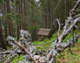 Ausflugsziel: Das "Bruderhüsli" im Dalaaser Wald am Kristberg im Silbertal, dem Genießerberg im Montafon - Der Sagenwanderweg (Sagenweg) vom Kristberg ins Silbertal