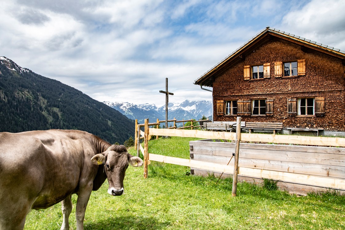 Ausflugsziel: Das "Alpe Oberbuchen - Stieralpe" am Kristberg im Silbertal, dem Genießerberg im Montafon - Der Sagenwanderweg (Sagenweg) vom Kristberg ins Silbertal