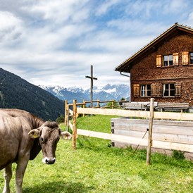 Ausflugsziel: Das "Alpe Oberbuchen - Stieralpe" am Kristberg im Silbertal, dem Genießerberg im Montafon - Der Sagenwanderweg (Sagenweg) vom Kristberg ins Silbertal