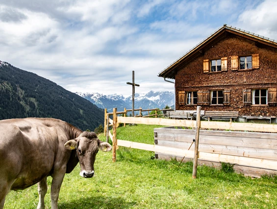 Ausflugsziel: Das "Alpe Oberbuchen - Stieralpe" am Kristberg im Silbertal, dem Genießerberg im Montafon - Der Sagenwanderweg (Sagenweg) vom Kristberg ins Silbertal