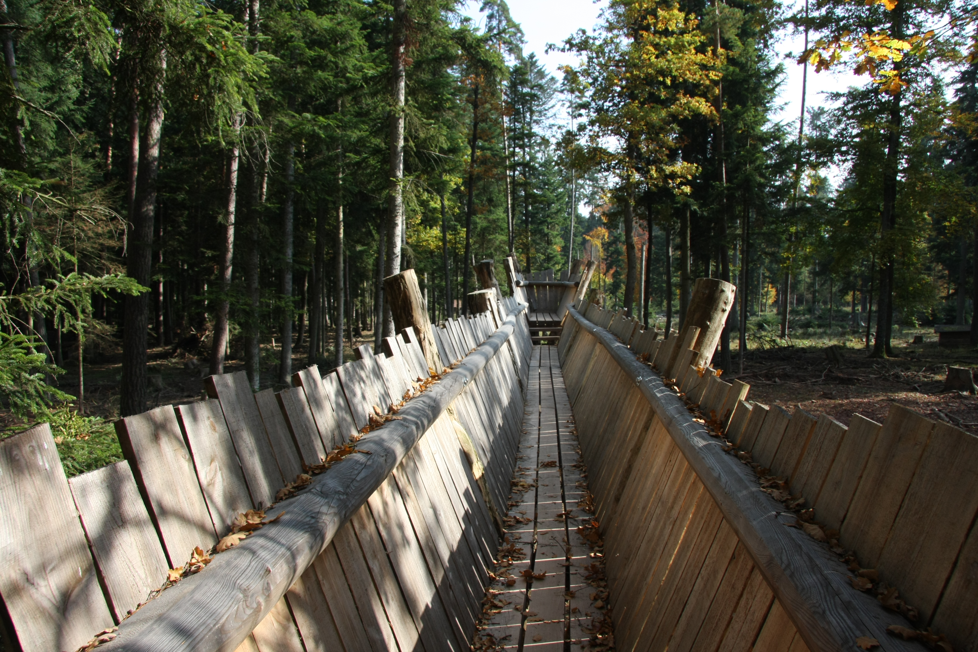 Ausflugsziel: Schwarzwildgehege