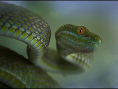 Ausflugsziel: Reptilienzoo Nockalm