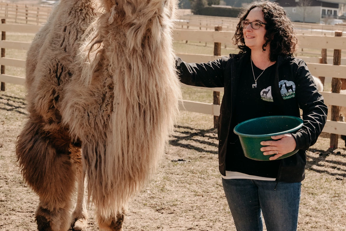 Ausflugsziel: Kamel Jamal - Alpakas und Lamas zum Grünen See