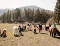 Ausflugsziel: Alpaka- und Lama-Wanderung - Alpakas und Lamas zum Grünen See