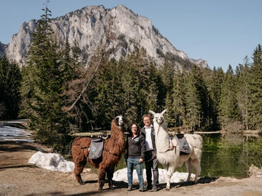 Ausflugsziel: Alpakas und Lamas zum Grünen See