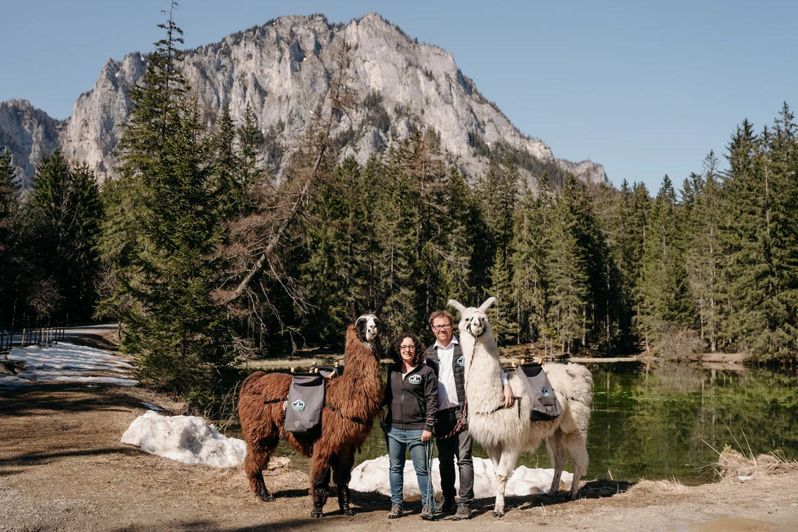 Ausflugsziel: Alpakas und Lamas zum Grünen See