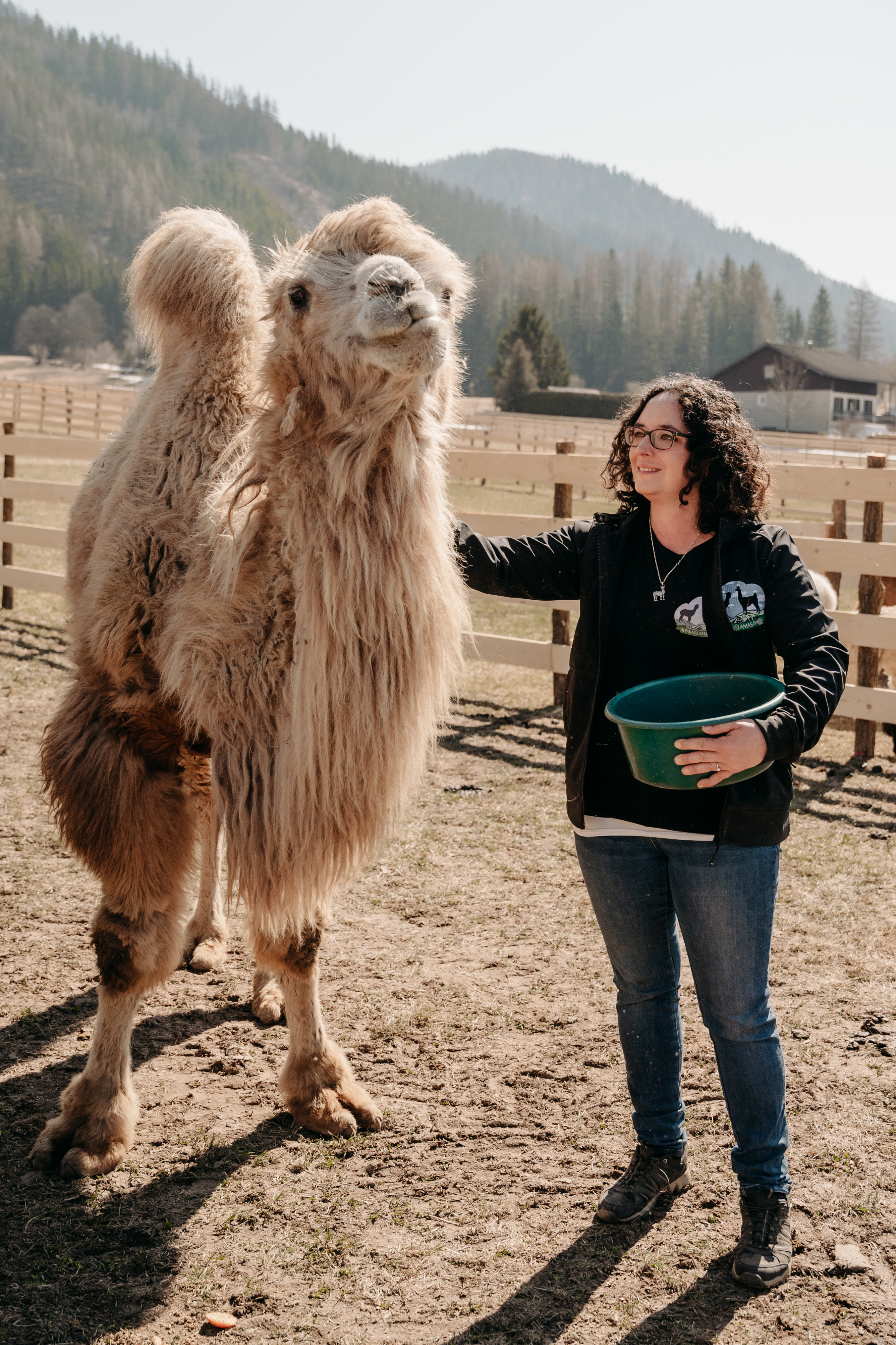 Ausflugsziel: Alpakas und Lamas zum Grünen See