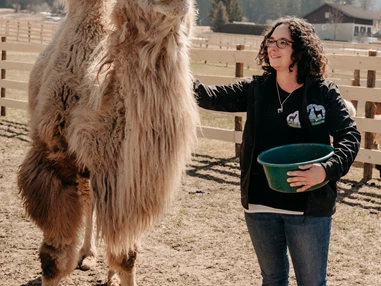Ausflugsziel: Alpakas und Lamas zum Grünen See