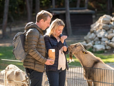 Ausflugsziel: Hochwildpark Rheinland