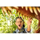 Ausflugsziel - Zähne! - Dinosaurierpark Teufelsschlucht