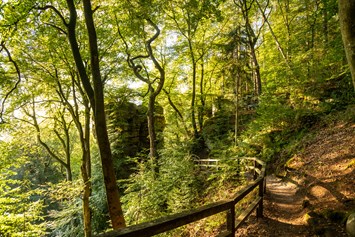 Ausflugsziel: Felstürme im Schluchtwald - teuflisch schön! - Die "Teuflische Acht" - Naturparkzentrum Teufelsschlucht