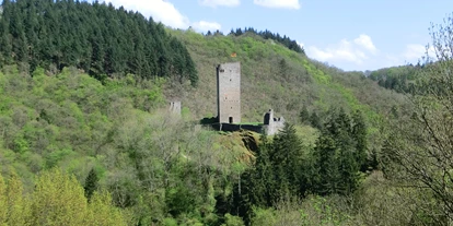 Ausflug mit Kindern - Densborn - Manderscheider Burgenstieg