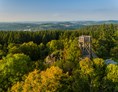 Ausflugsziel: Dietzenley am Gerolsteiner Keltenpfad - Gerolsteiner Keltenpfad