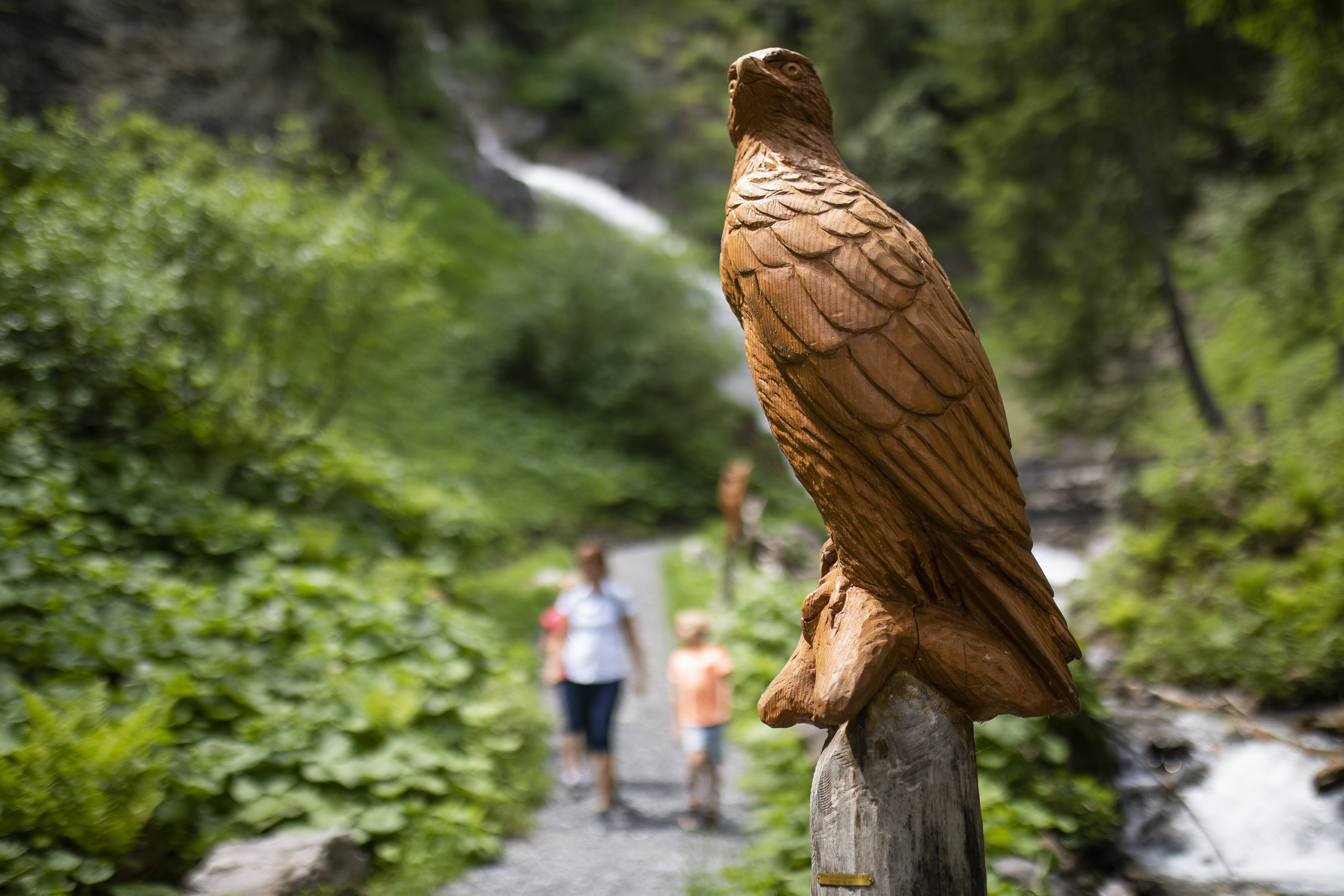Ausflugsziel: MounTeens Detektiv-Weg