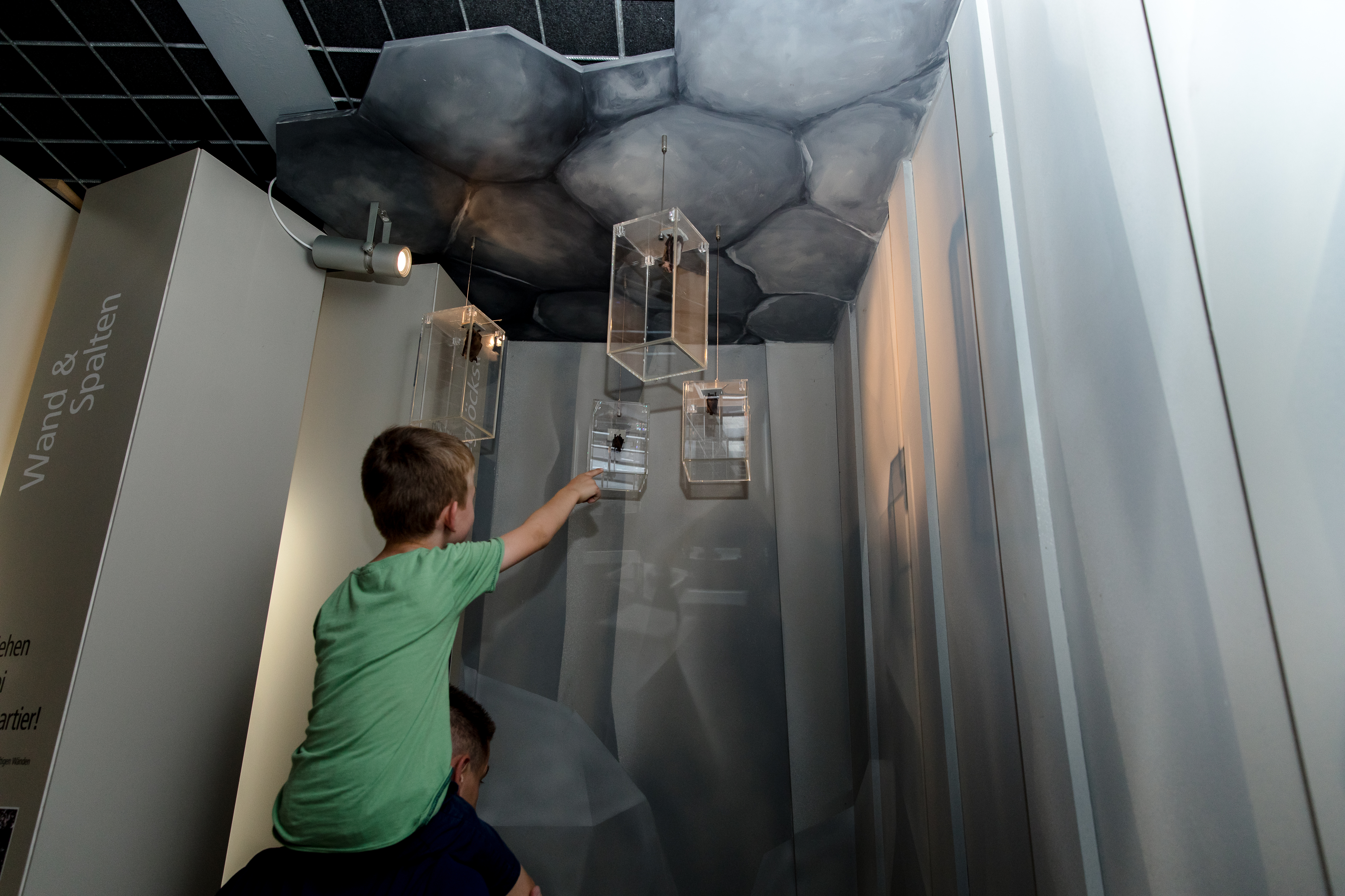 Ausflugsziel: Eifelmuseum – Erlebniswelten Grubenfeld