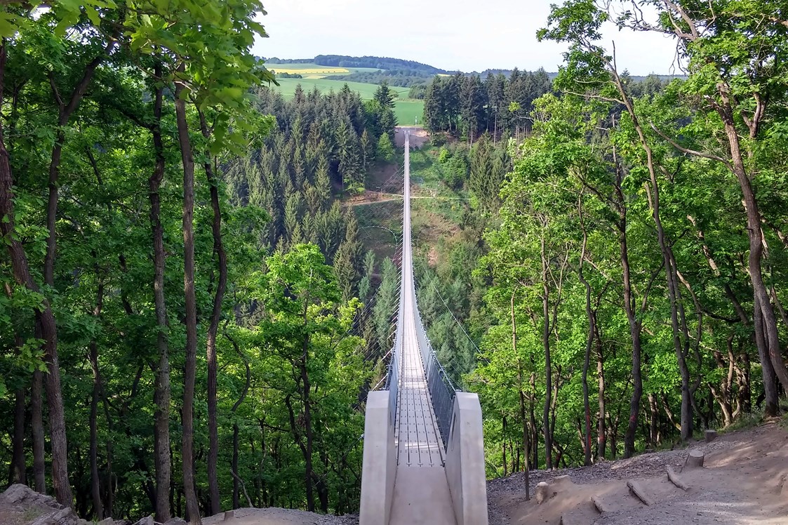 Ausflugsziel: Hängeseilbrücke Geierlay