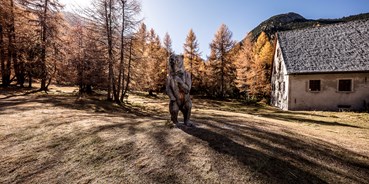 Ausflug mit Kindern - Umgebungsschwerpunkt: Wald - Graubünden - Bärenerlebnisweg – «senda da l’uors»
©Andrea Badrutt, Chur - Bärenerlebnisweg – «senda da l’uors»
