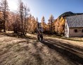Ausflugsziel: Bärenerlebnisweg – «senda da l’uors»
©Andrea Badrutt, Chur - Bärenerlebnisweg – «senda da l’uors»