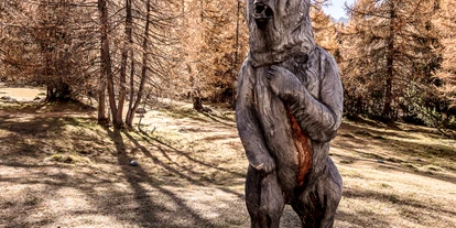 Reis met kinderen - Ried im Oberinntal - Bärenerlebnisweg – «senda da l’uors»
©Andrea Badrutt, Chur - Bärenerlebnisweg – «senda da l’uors»