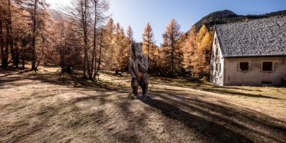 Reis met kinderen - Ried im Oberinntal - Bärenerlebnisweg – «senda da l’uors»