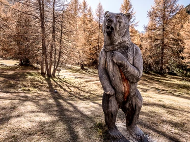 Ausflugsziel: Bärenerlebnisweg – «senda da l’uors»