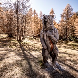 Ausflugsziel: Bärenerlebnisweg – «senda da l’uors»