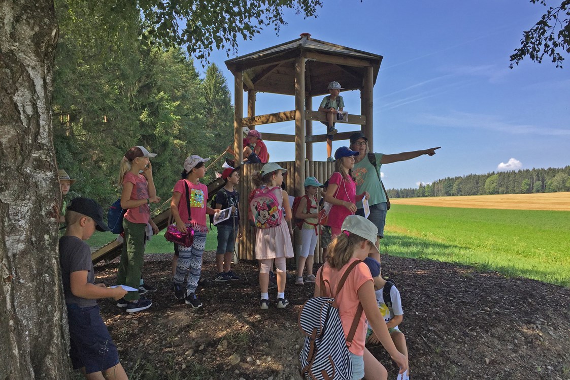 Ausflugsziel: Römerturm an der Baarblickhütte - Brigo-Pfad, Römischer Lehr- und Erlebnispfad für die ganze Familie