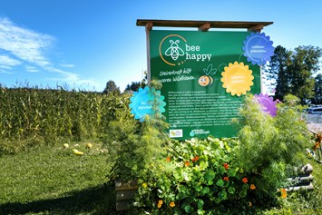 Ausflugsziel: bee happy - Steirerkraft hilft unseren Wildbienen - Steirerkraft Kernothek