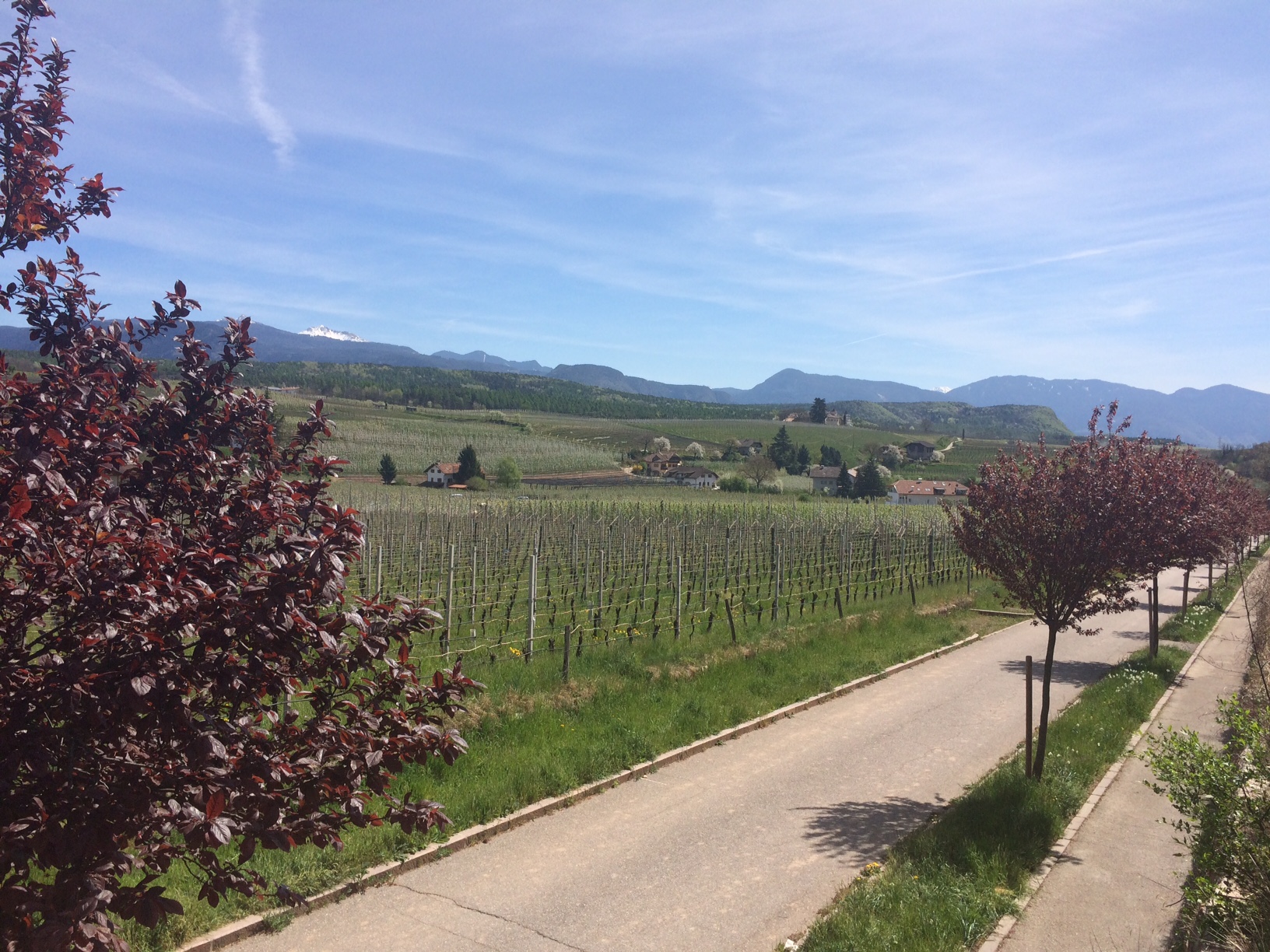 Ausflugsziel: Überetscher Spazierweg