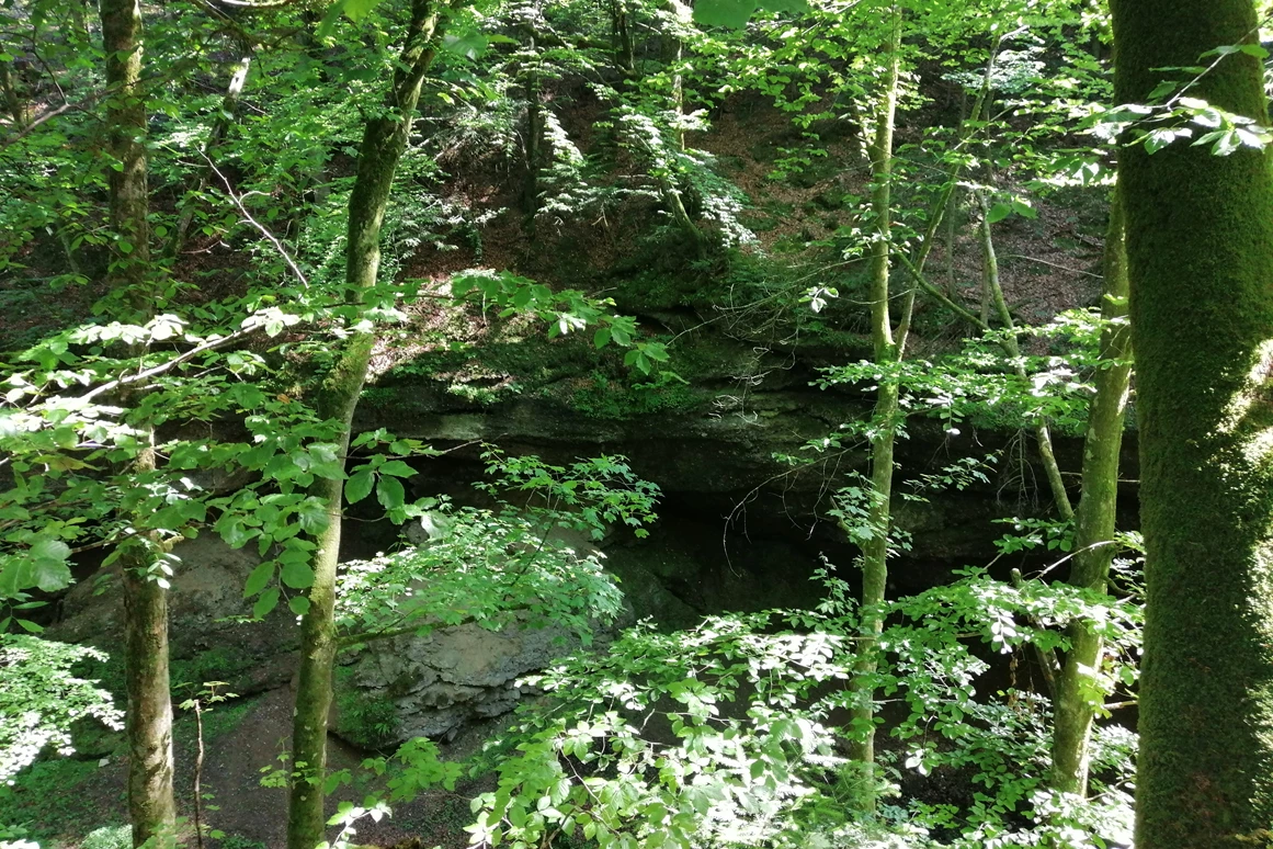 Ausflugsziel: Tiefensteinklamm