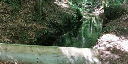 Trip with children - Neukirchen (Altmünster) - Tiefensteinklamm