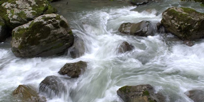 Trip with children - Neukirchen (Altmünster) - Tiefensteinklamm