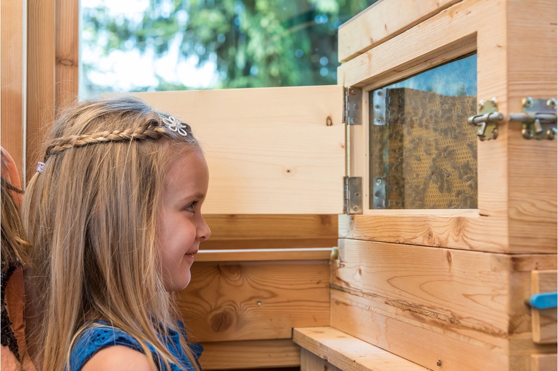 Ausflugsziel: Honigbienen live erleben im Bienenhaus - Bienenerlebnisweg