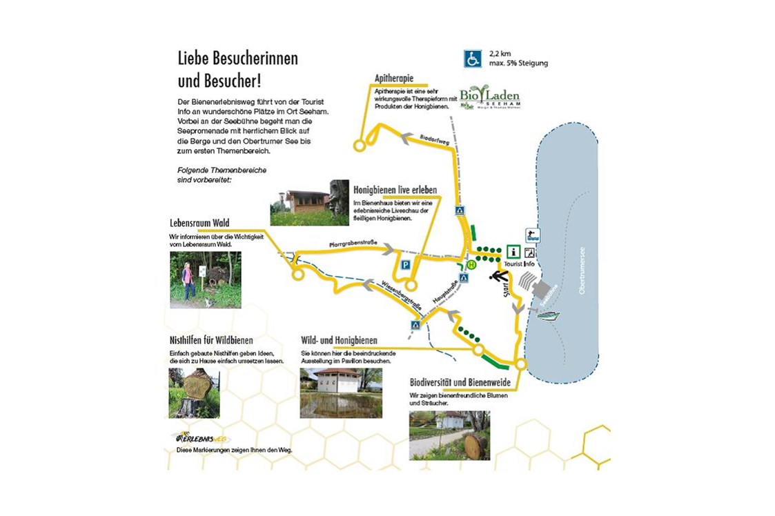 Ausflugsziel: Wegführung Bienenerlebnisweg im Biodorf Seeham - Bienenerlebnisweg