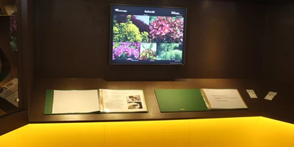 Reis met kinderen - Geinberg - Bienenpavillon mit Ausstellung - Bienenerlebnisweg