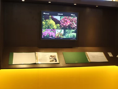 Ausflugsziel: Bienenpavillon mit Ausstellung - Bienenerlebnisweg