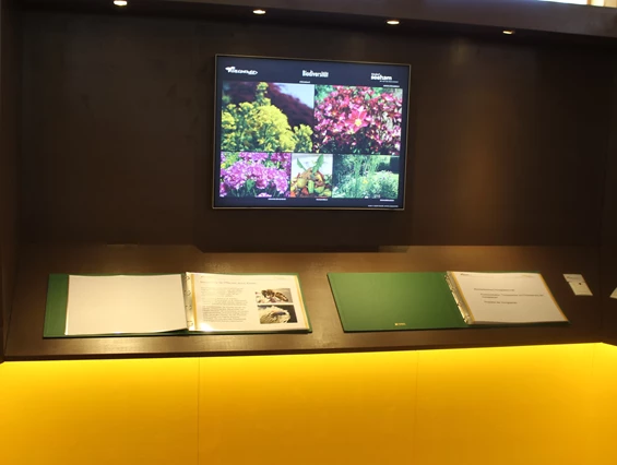 Ausflugsziel: Bienenpavillon mit Ausstellung - Bienenerlebnisweg