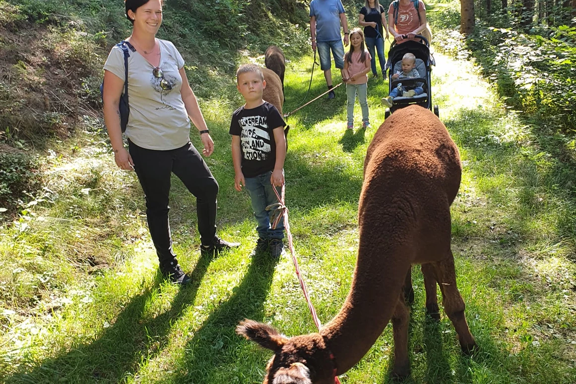 Ausflugsziel: alle sind völlig entspannt ;) - Alpakawanderung am Laikamhof