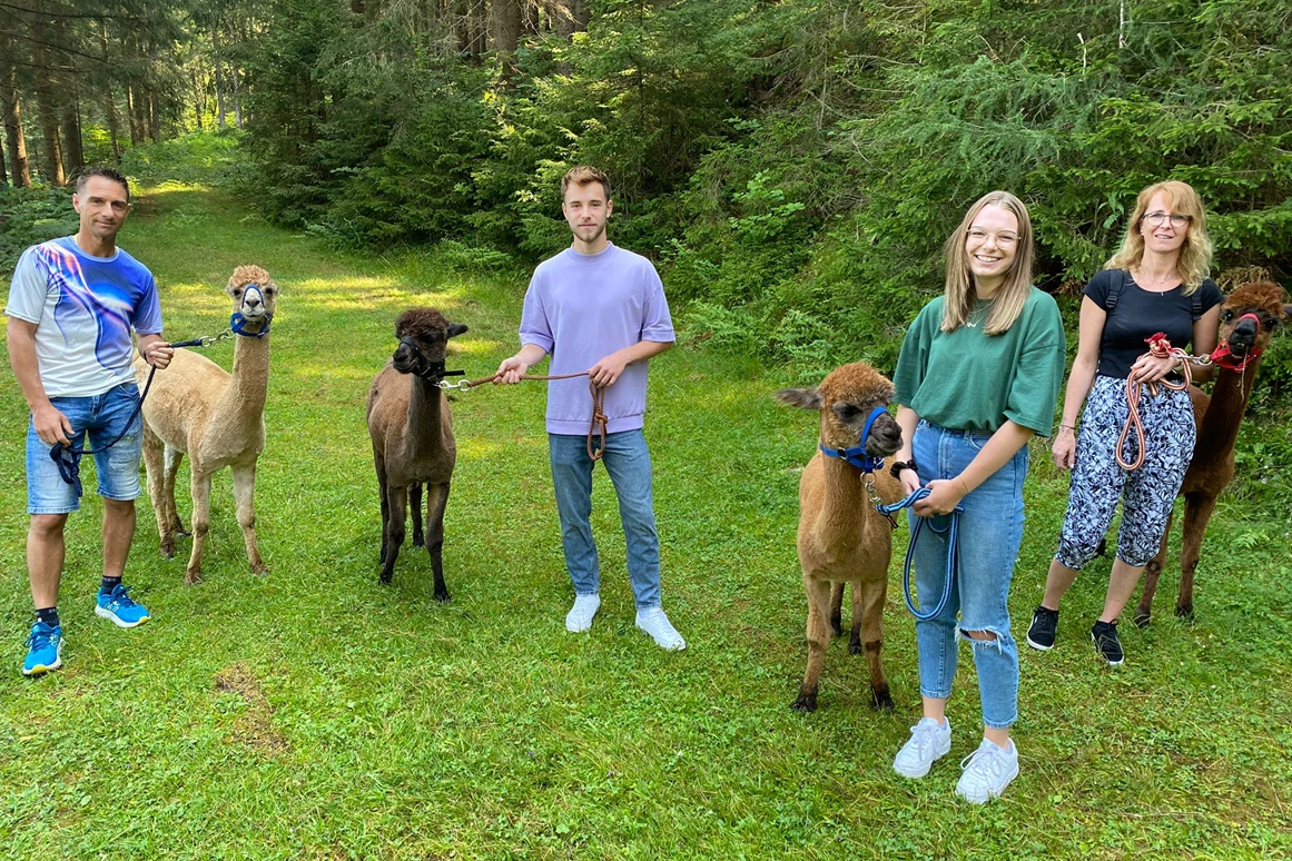 Ausflugsziel: Ganz entspannte Alpakas - Alpakawanderung am Laikamhof