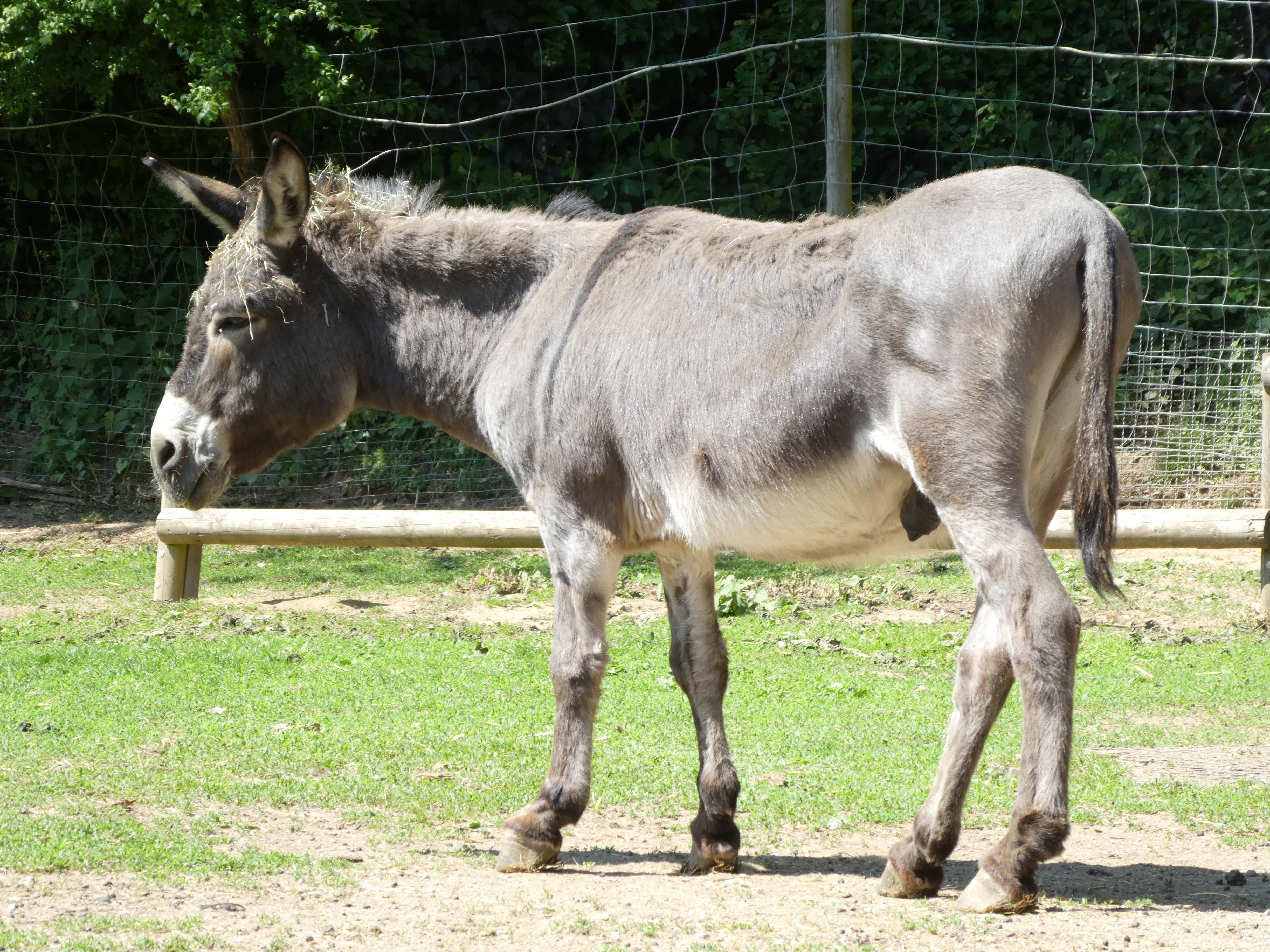 Ausflug mit Kindern - WC - Winningen - Wild-Freizeitpark-Westerwald