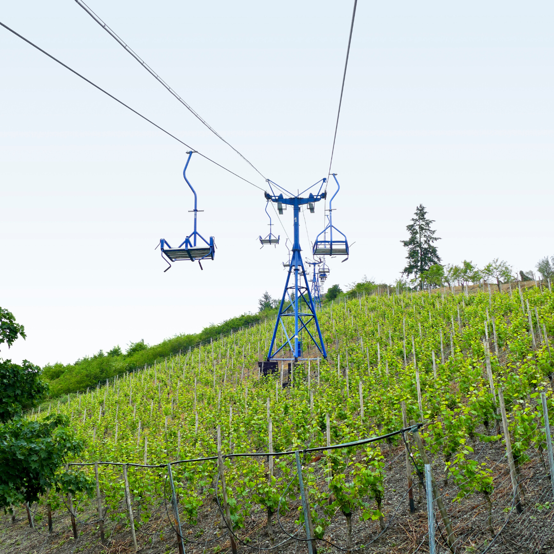 Voyage avec des enfants - Montabaur - Symbolbild für Ausflugsziel Sesselbahn Boppard. Keine korrekte oder ähnlich Darstellung! - Sesselbahn Boppard