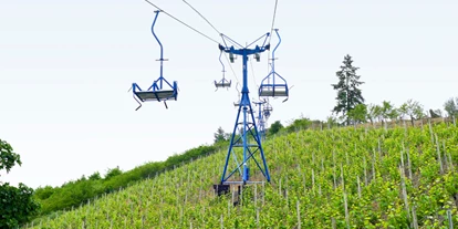 Ausflug mit Kindern - Kaltenengers - Sesselbahn Boppard